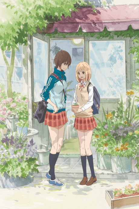 Kase-san and Morning Glories cover